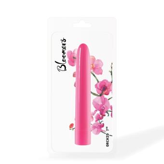 images/productimages/small/orchid-7-boxed.jpg