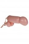 Cock Fight Inflatable Penis - 2 pcs per box