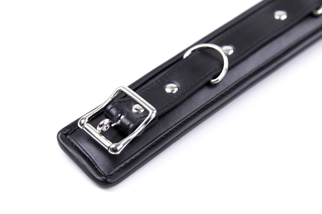 Collar with Leash - Black