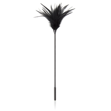 Feather Black 