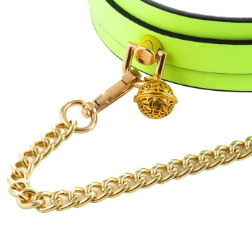 Collar & Leash - Glow Green