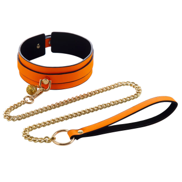Collar & Leash - Glow Orange