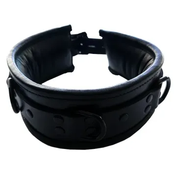 Padded Collar, Black with Black Accessories