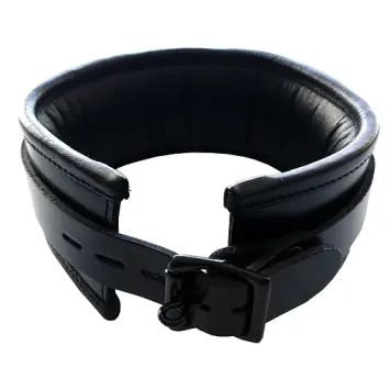 Padded Collar, Black with Black Accessories