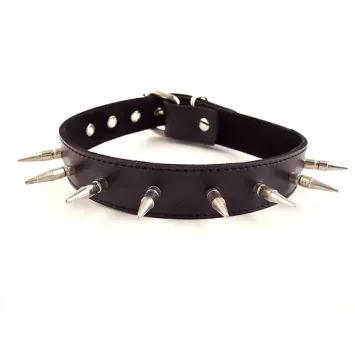 Spiked Collar