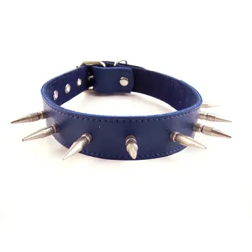 Spiked Collar