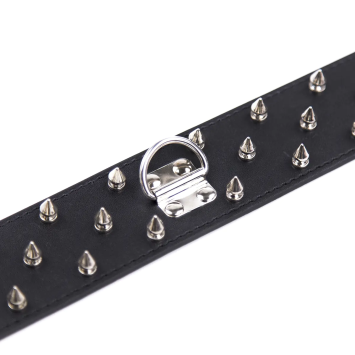 Spike Collar & Leash - Black