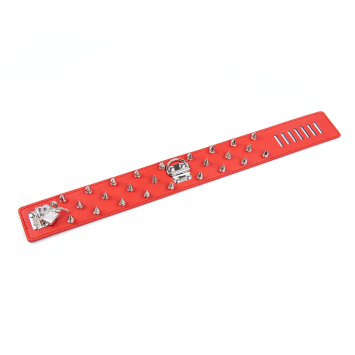Spike Collar & Leash - Red